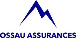 Courtier assurance pro Pau - Assurance entreprise Pau - Ossau assurances